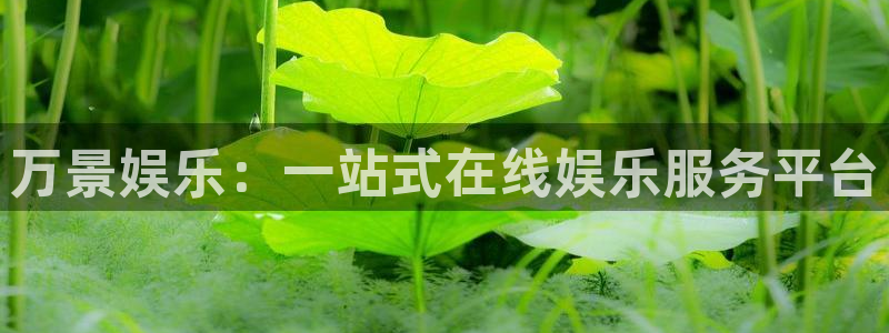 开心彩welcome：万景娱乐：一站式在线娱乐服务平台