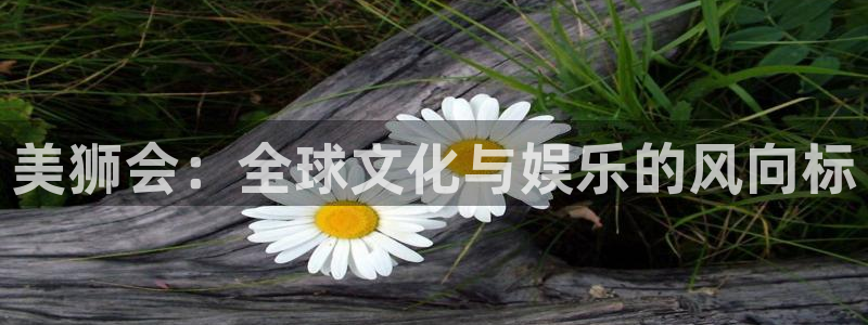 开心彩正版官网入口：美狮会：全球文化与娱乐的风向标