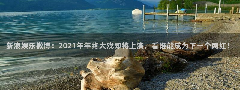 下载安装开心彩：新浪娱乐微博：2021年年终大戏即将上演，看谁能成为下一个网红！