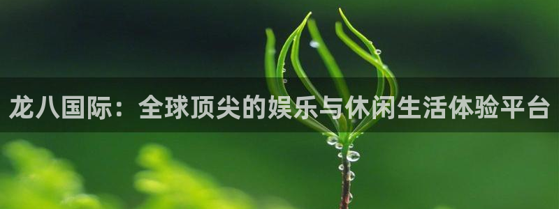 手机版开心网：龙八国际：全球顶尖的娱乐与休闲生活体验平台