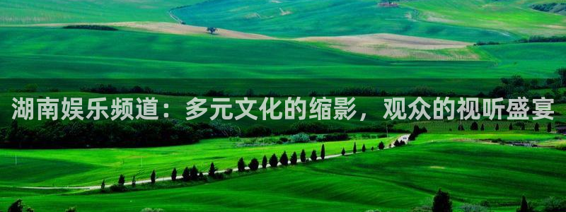 开心彩.apk：湖南娱乐频道：多元文化的缩影，观众的视听盛宴