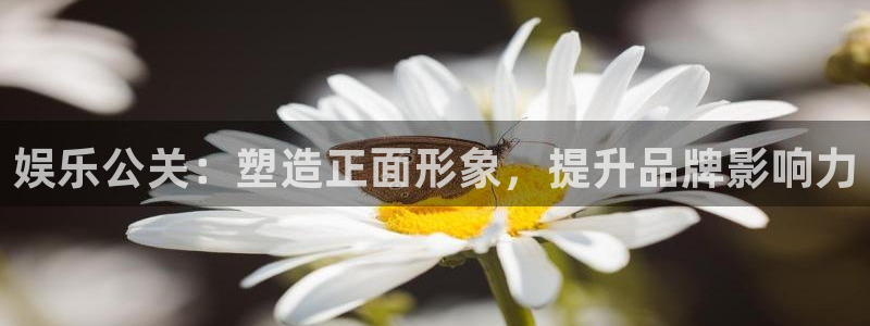 开心8快乐彩：娱乐公关：塑造正面形象，提升品牌影响力