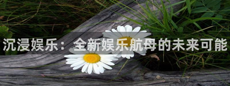 开心彩：沉浸娱乐：全新娱乐航母的未来可能