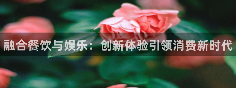 开心彩welcome：融合餐饮与娱乐：创新体验引领消费新时代