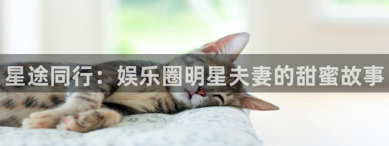 开心8快乐彩：星途同行：娱乐圈明星夫妻的甜蜜故事