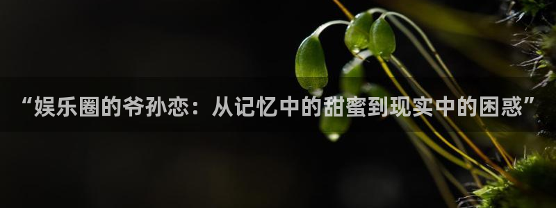 开心彩下载安装：“娱乐圈的爷孙恋：从记忆中的甜蜜到现实中的困惑”
