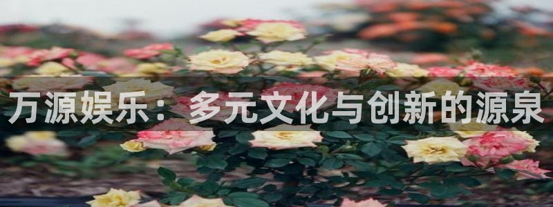 开心彩用户：万源娱乐：多元文化与创新的源泉