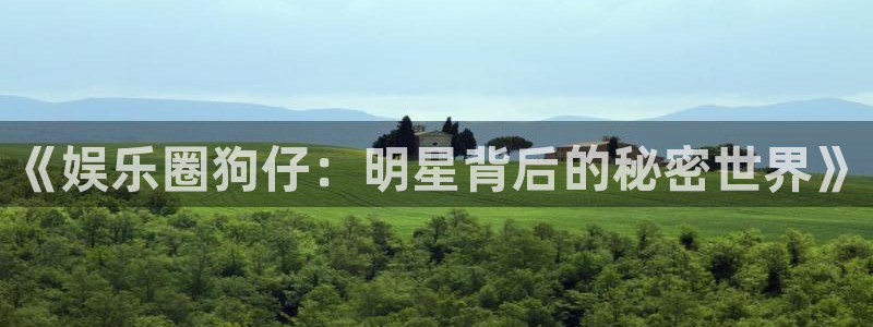 开心8快乐彩：《娱乐圈狗仔：明星背后的秘密世界》
