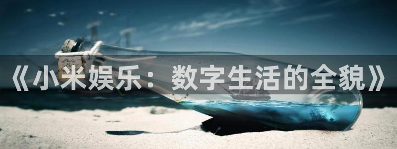 开心彩用户：《小米娱乐：数字生活的全貌》