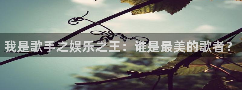 开心彩下载：我是歌手之娱乐之王：谁是最美的歌者？
