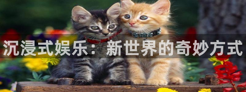 开心彩官网下载：沉浸式娱乐：新世界的奇妙方式