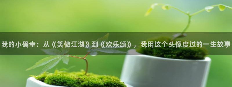 开心彩用户：我的小确幸：从《笑傲江湖》到《欢乐颂》，我用这个头像度过的一生故事