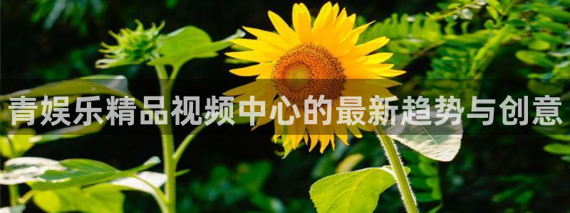 下载最新开心彩：青娱乐精品视频中心的最新趋势与创意