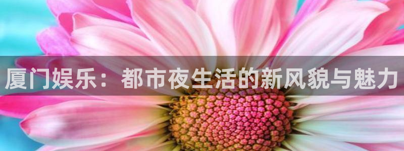 下载最新开心彩：厦门娱乐：都市夜生活的新风貌与魅力