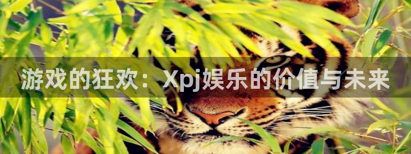 开心彩welcome购彩手机版：游戏的狂欢：Xpj娱乐的价值与未来