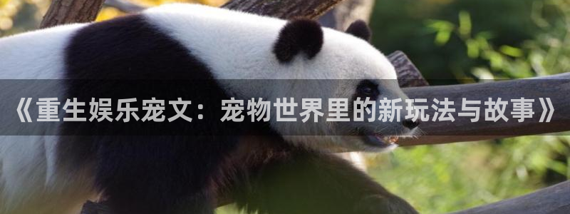开心彩手机版：《重生娱乐宠文：宠物世界里的新玩法与故事》