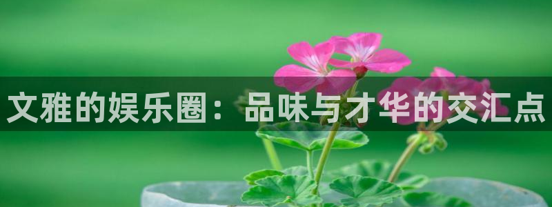 开心彩官网：文雅的娱乐圈：品味与才华的交汇点