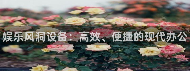 开心彩.apk：娱乐风洞设备：高效、便捷的现代办公