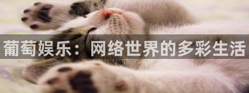 开心彩官网下载：葡萄娱乐：网络世界的多彩生活