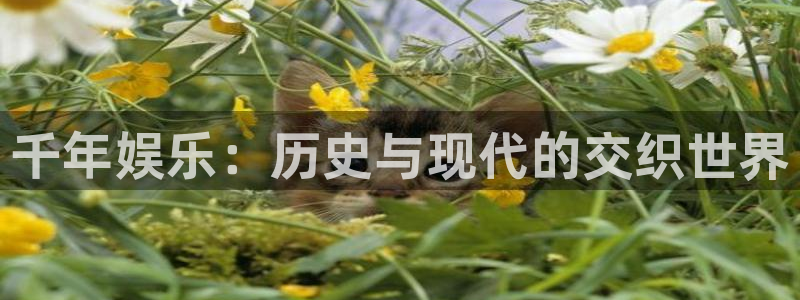 开心彩官方下载：千年娱乐：历史与现代的交织世界